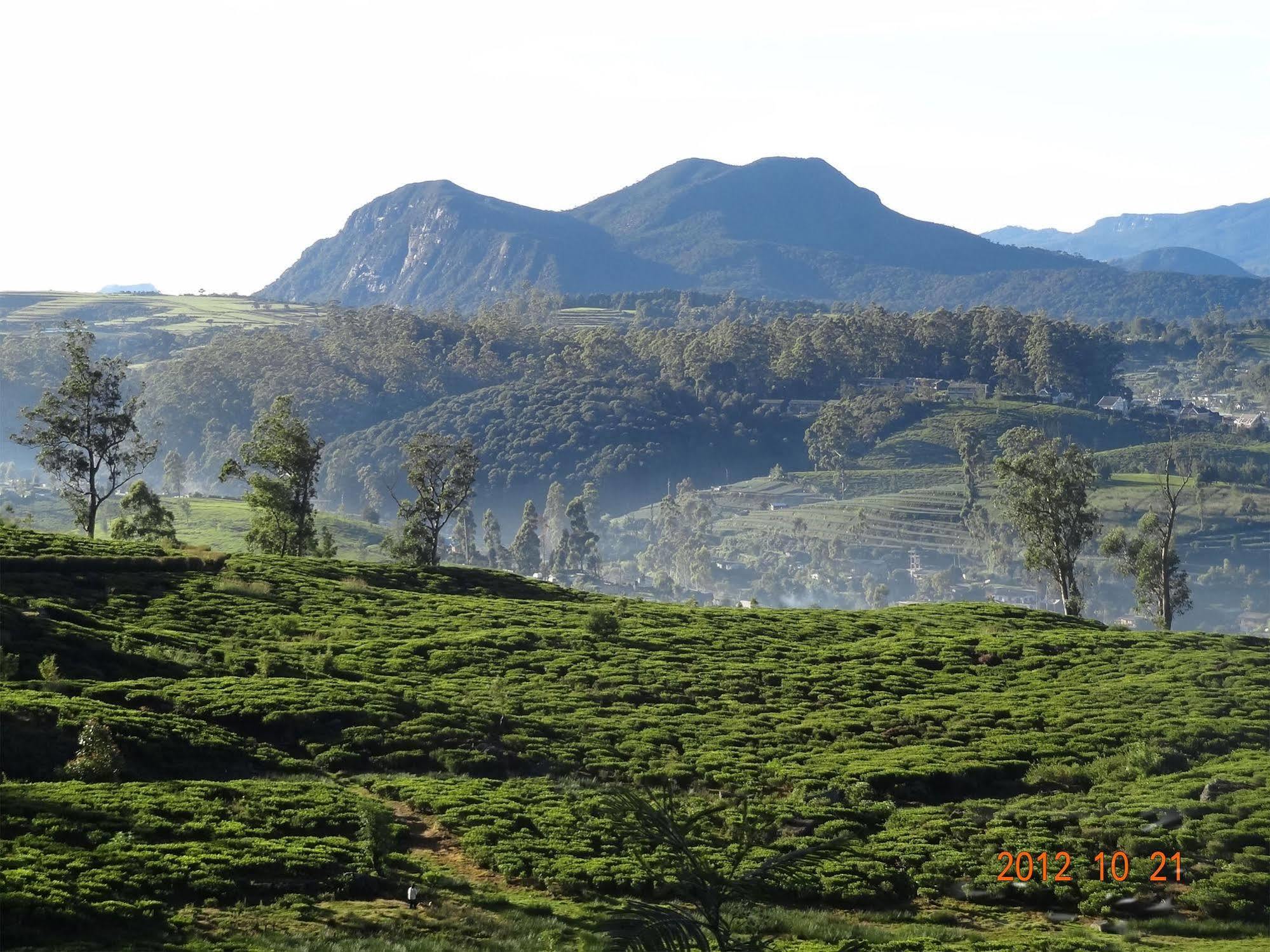 Senani Colonial Holiday Bungalow Nuwara Eliya Kültér fotó