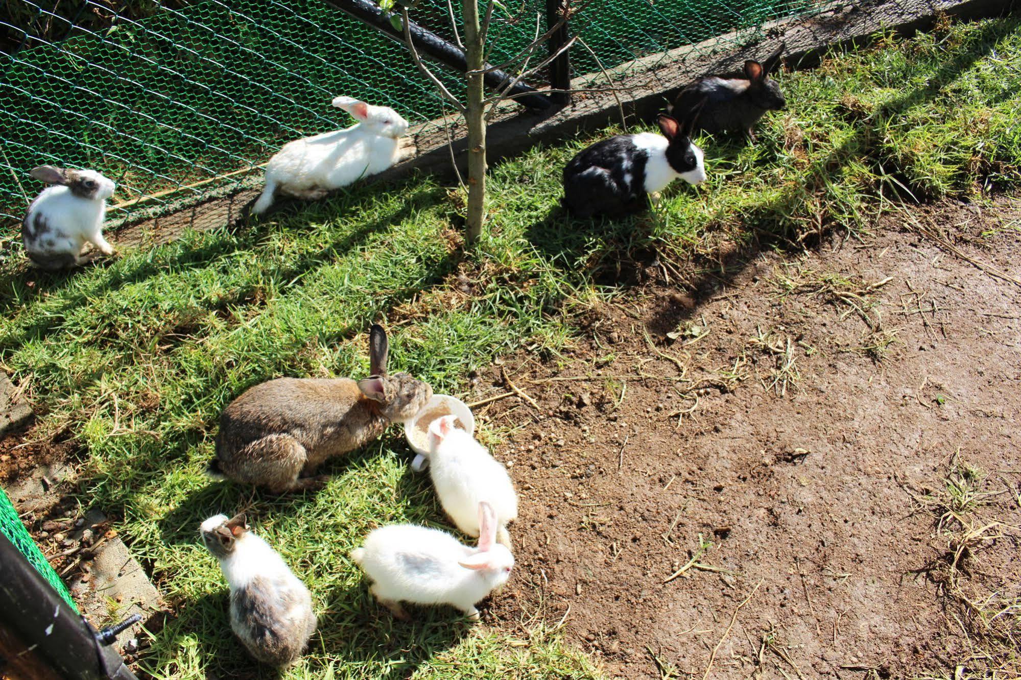 Senani Colonial Holiday Bungalow Nuwara Eliya Kültér fotó